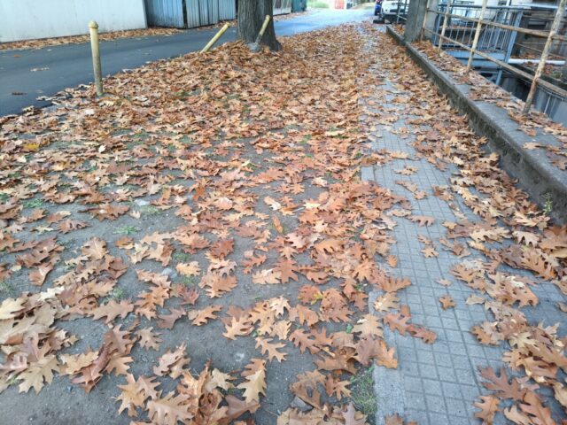 TCL NxtPaper 60 Ultra