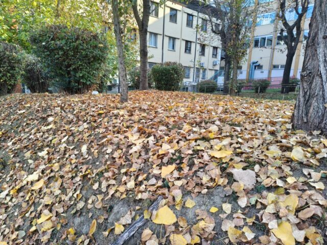 TCL NxtPaper 60 Ultra