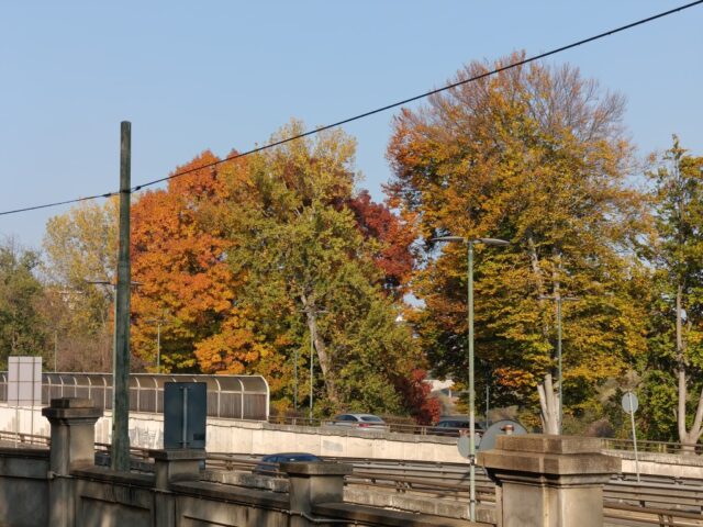 TCL NxtPaper 60 Ultra