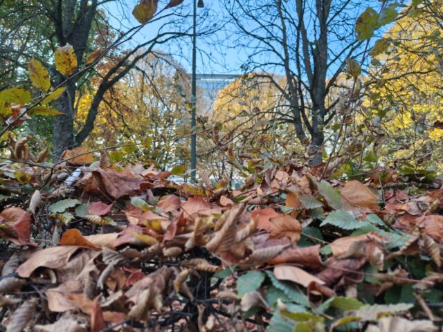 TCL NxtPaper 60 Ultra