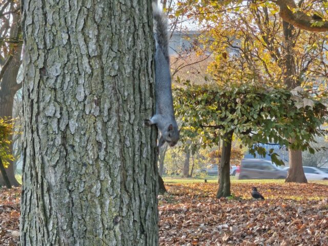 TCL NxtPaper 60 Ultra