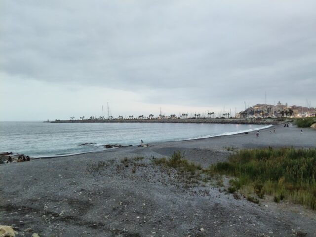 IMG20260601211822 (Medie)