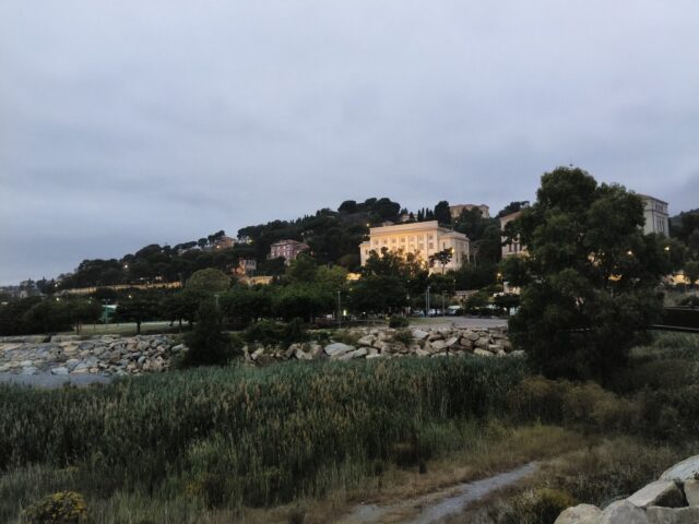 IMG20260601211846 (Medie)